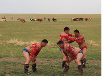 Wrestling in the Gobi